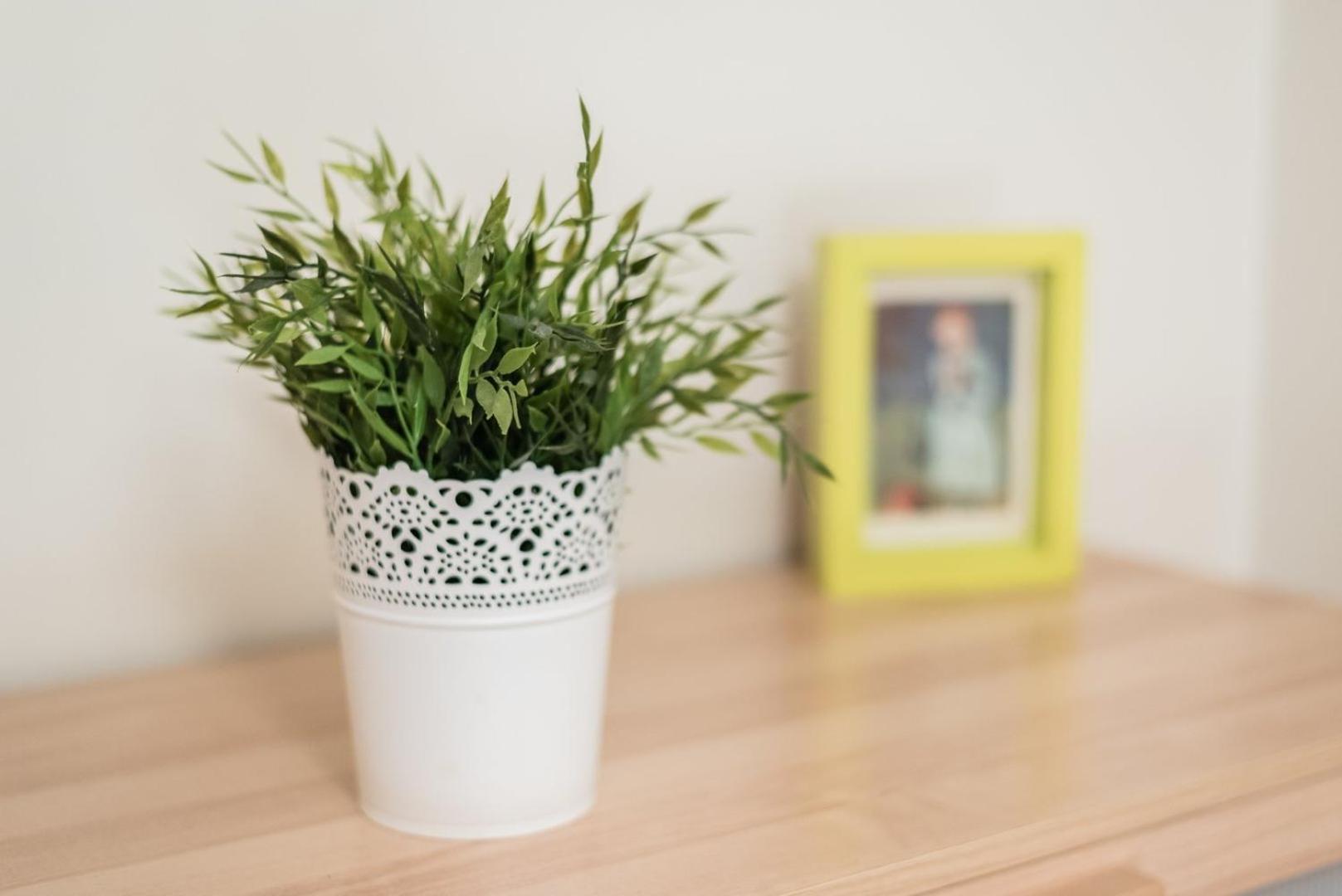 Guestready - Amaryllis Apartment Πόρτο Εξωτερικό φωτογραφία